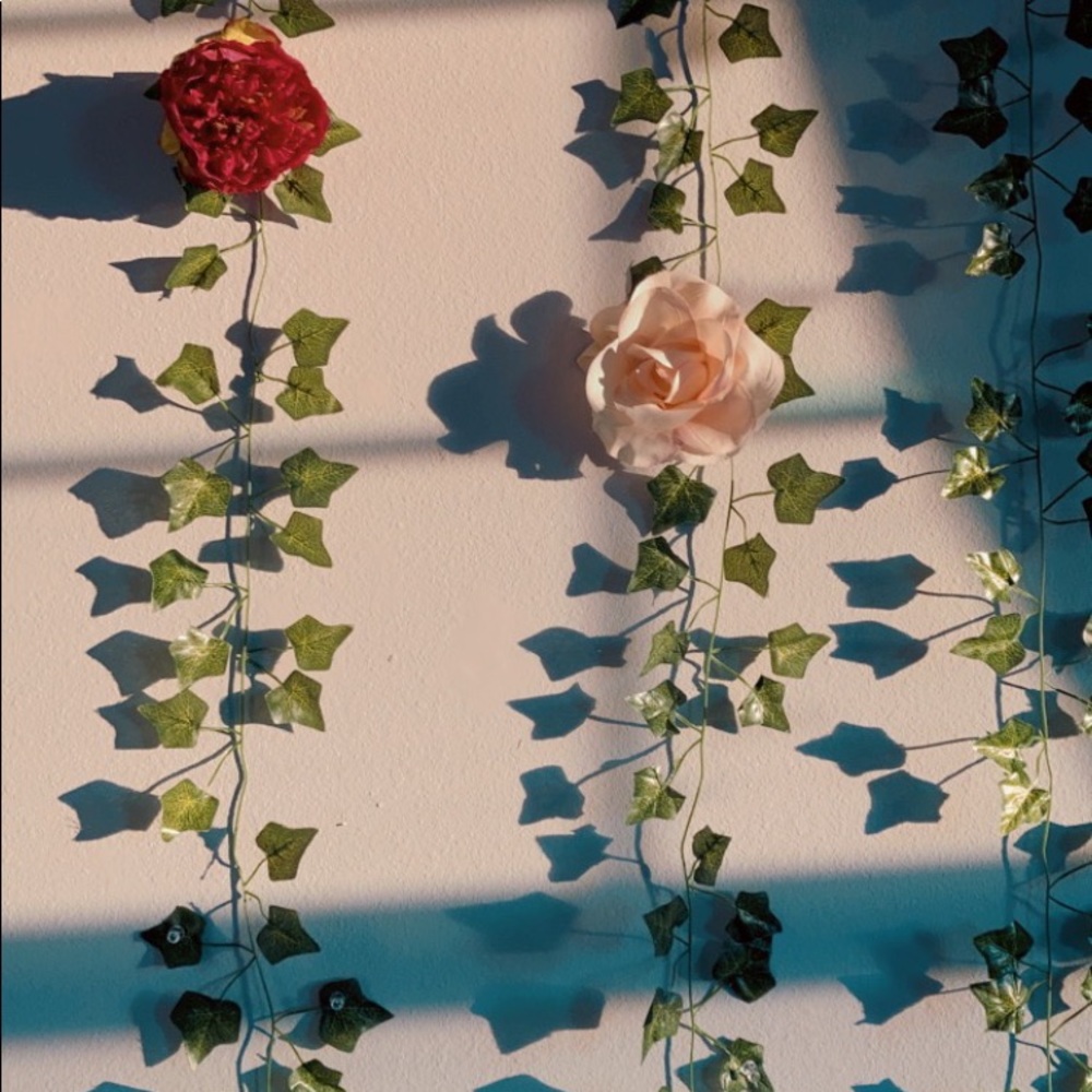 Meet your Posher, Lila